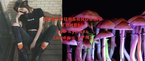 герыч Дубовка