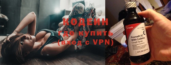 молекула духа Надым