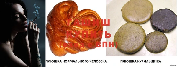 молекула духа Надым
