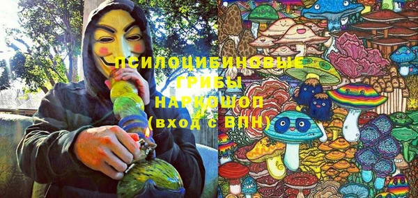 герыч Дубовка