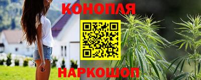молекула духа Гай