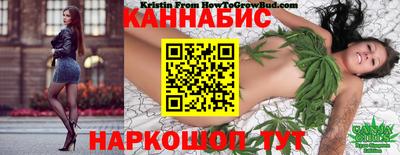 шишки Абинск