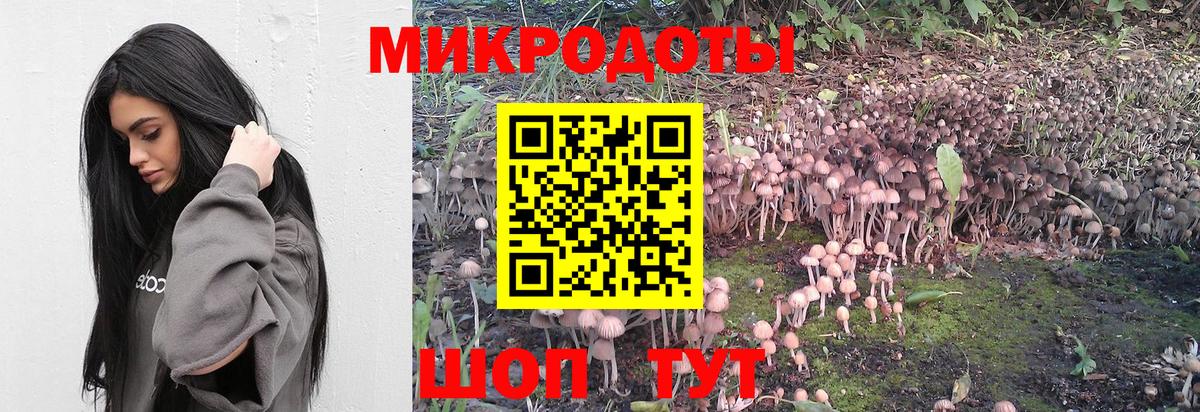 Галлюциногенные грибы Psilocybine cubensis  Вход с VPN  Ульяновск  Псилоцибиновые грибы MAGIC MUSHROOMS 
