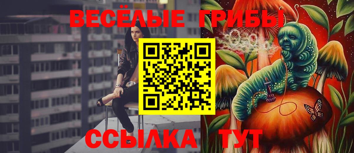 Псилоцибиновые грибы мицелий Ульяновск