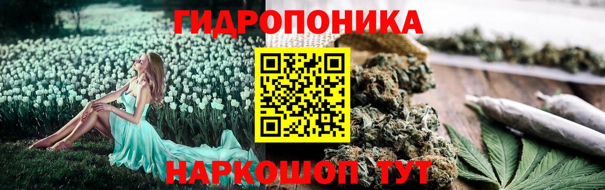 Бошки марихуана план Ульяновск